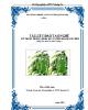 Tài liệu đào tạo nghề Kỹ thuật trồng, chăm sóc và thu hoạch cây tiêu: Phần II - Sở NN&PTNT Quảng Trị