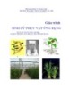 Giáo trình Sinh lý thực vật ứng dụng - Vũ Quang Sáng (Chủ biên)