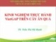 Bài giảng Kinh nghiệm thực hành VietGAP trên cây ăn quả - TS. Trần Thị Mỹ Hạnh