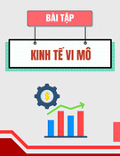 Bài tập Kinh tế vi mô kèm đáp án
