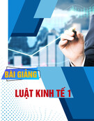 Bài giảng Luật Kinh tế 1 (BCTT) - Chương 3: Bản chất pháp lý của doanh nghiệp tư nhân và hộ kinh doanh