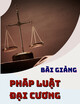 Bài giảng Pháp luật đại cương: Chương 2 - ThS. Nguyễn Ngọc Thảo Phương