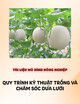Tài liệu mô hình nông nghiệp Quy trình kỹ thuật trồng và chăm sóc dưa lưới