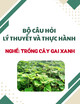 Bộ câu hỏi lý thuyết và thực hành hướng dẫn chấm điểm kiểm tra nghề: Trồng cây gai xanh