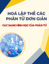 Hoá lập thể các phân tử đơn giản - Các dạng hình học của phân tử